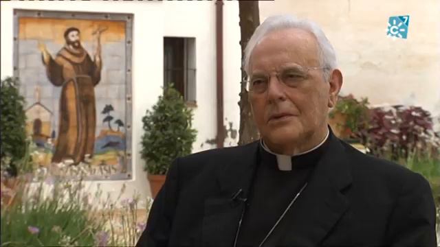 Testigos Hoy | Cardenal Carlos Amigo Vallejo смотреть онлайн