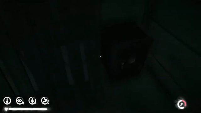 Survival Crafting: The Long Dark (PS5) смотреть онлайн