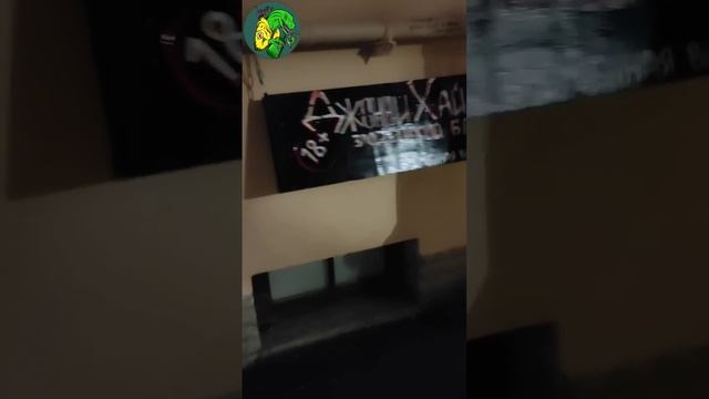 Самый секретный бар Питера) Подпишись и в гости приходи) Питер Ломоносова 16 смотреть онлайн