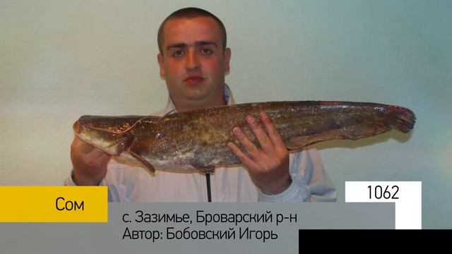 Фотоальбом - Рыбалка №212 смотреть онлайн