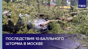 Последствия 10-балльного шторма в Москве
