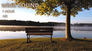 Звуки для отдыха |Шум ветра | 1час