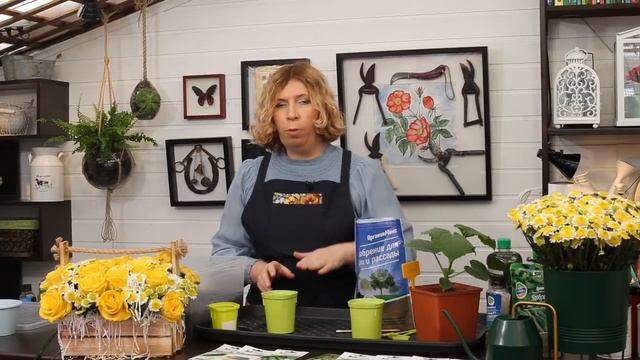 Что посеять в апреле? Чем обеззаразить теплицу?