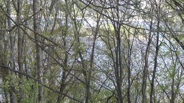 Пасхальный Киев - Ботанический сад