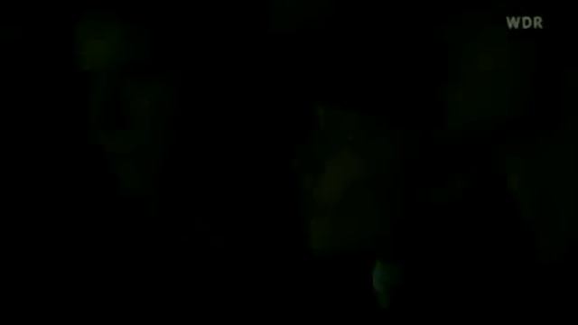 The Chemical Brothers - Galvanize, Block Rockin' Beats (Live @ Rock Am Ring 2005) смотреть онлайн