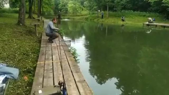 Ольгово. Форель. смотреть онлайн