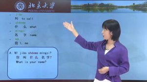 Chinese HSK 1 week 1 lesson 1