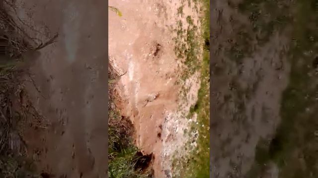 Сегодня мы с Мификсом провели мини экстрим на возвышенности.. смотреть онлайн