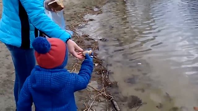 Малорита, Военное озеро и его обитатели =) - Malorita, The Military Lake And Its Inhabitants