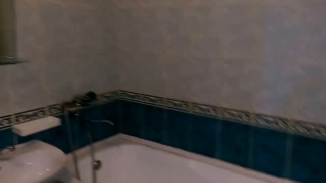 Душ, туалет 1 этаж в доме для эконом номеров, http gdvera ru 720p смотреть онлайн