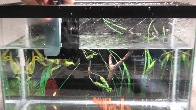 JBL GO 3 - STILL WATERPROOF after OPENING ??? смотреть онлайн