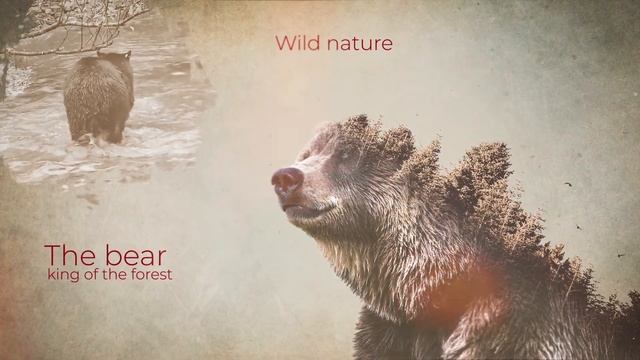Double exposure в Adobe After Effects|Двойная экспозиция в Афтер Эффектс смотреть онлайн