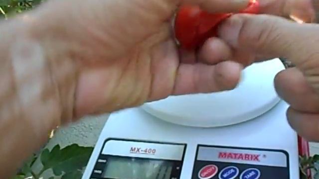 Дары волхвов - идеальный сорт для консервации смотреть онлайн