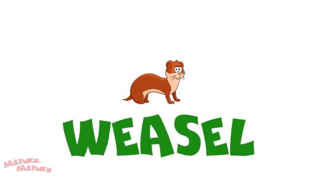 FOREST ANIMALS - English For Kids! Учим английский для детей! Развивающие мультики