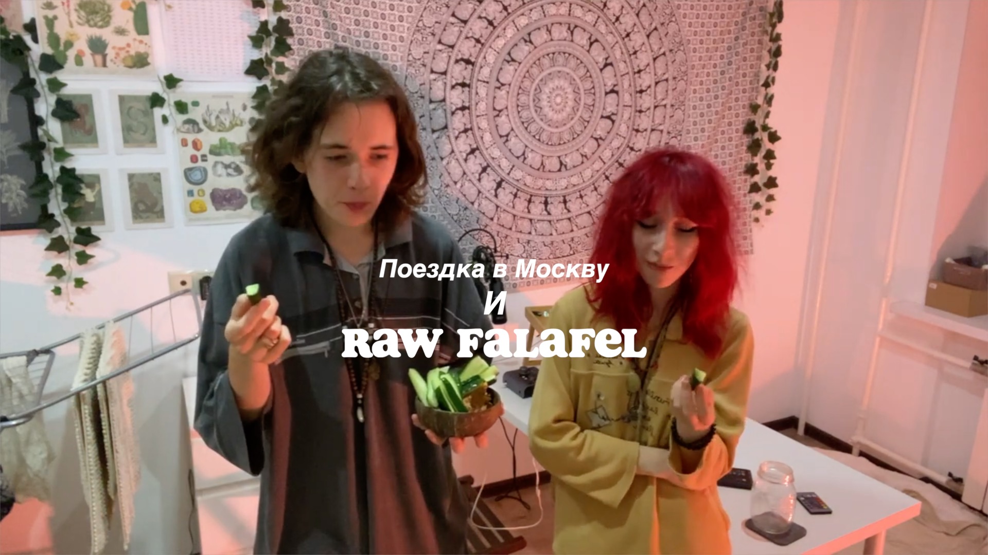 москва и КУКИНГ RAW фалафеля с Егохом