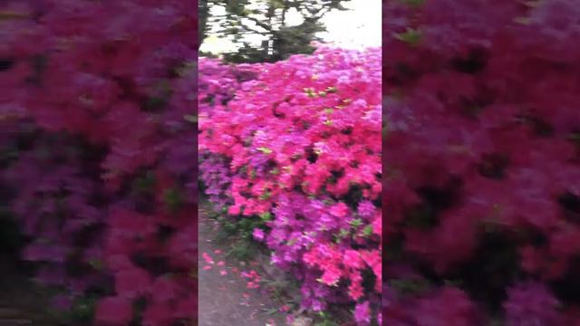 28 апреля 2019 г. смотреть онлайн