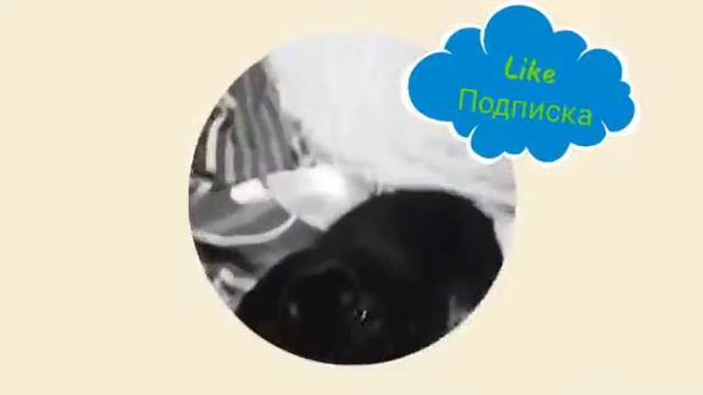 Мне исполнилось 6 лет!!!! смотреть онлайн