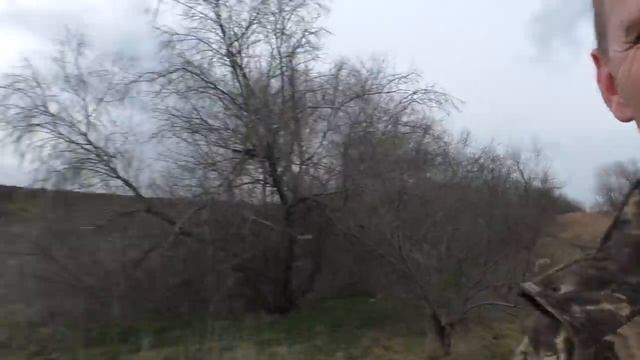 AUDIO NOVA SL-250DC смотреть онлайн