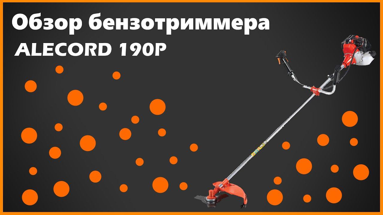 Обзор триммера ALECORD - 190P. Плюсы и минусы, тест в работе смотреть онлайн