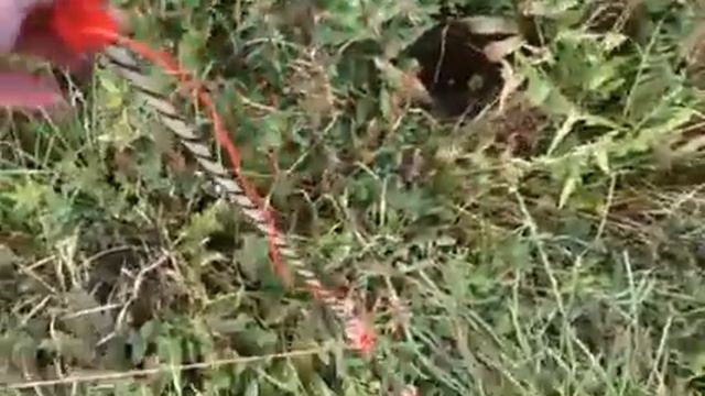 Обзор электропастуха Протон. Часть 4 смотреть онлайн