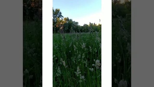 Современная школа искусств. Высшая школа/ это и есть Россия будущего? #спорт #физкультура #школа