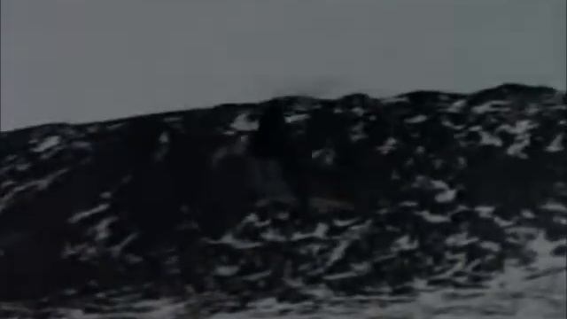 Canadian Rangers chinook Alex Fiord смотреть онлайн