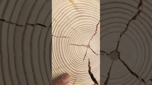 Шлифовка сруба. Часть 3. «Торцы» смотреть онлайн