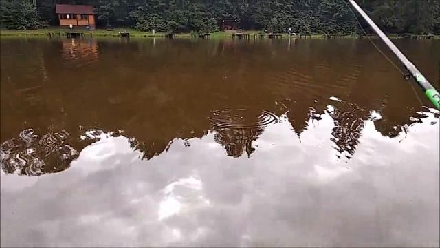 Все секреты успешной ловли карпа. Верхний пруд. Клёвое место, лосиный остров смотреть онлайн