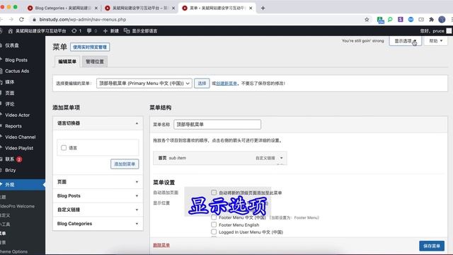 英文模板如何翻译为中文网站? 用 Polylang 插件翻译网站的方法与步骤 | 我的影视类视频网站建设过程 смотреть онлайн