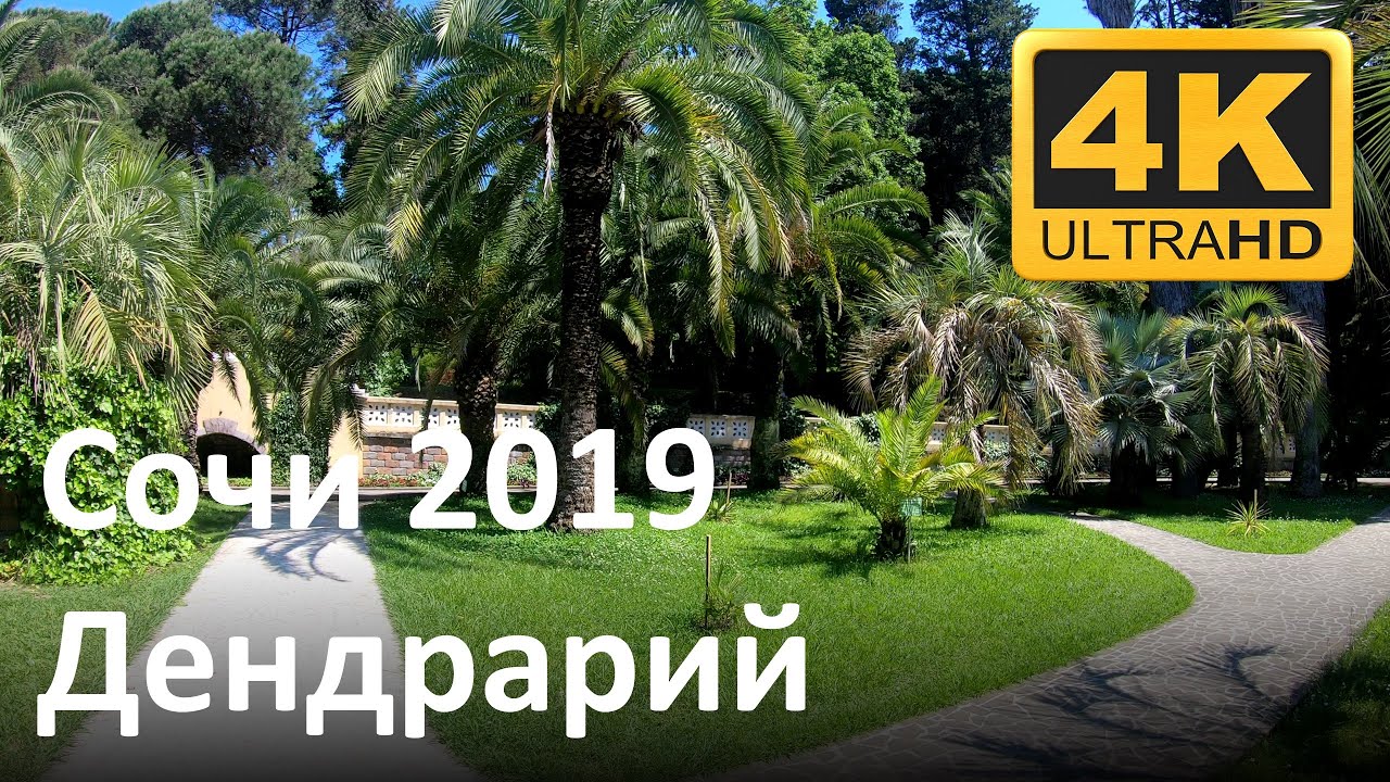 Сочи 2019: Дендрарий
