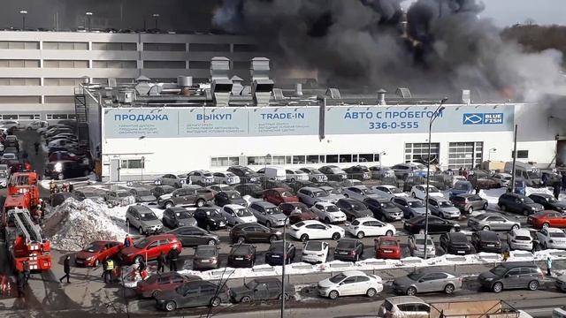 В Петербурге горит автосалон на Савушкина смотреть онлайн