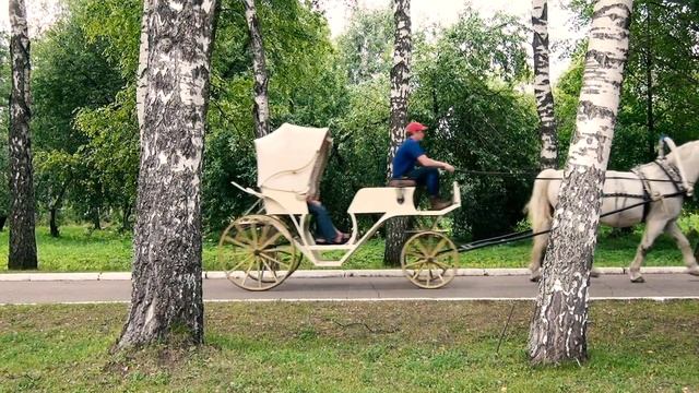 Реклама. Катание на Карете смотреть онлайн