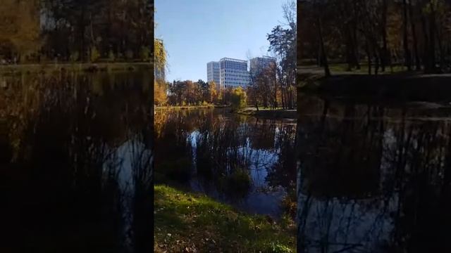 Стрим.День венчания-30 лет! Иду в больницу к сыну. смотреть онлайн