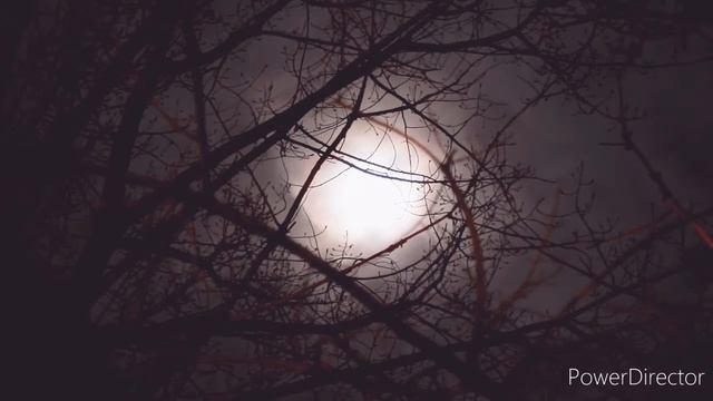 Música Para Meditar E Relaxar, Música Instrumental ( Robert Haig Coxon )