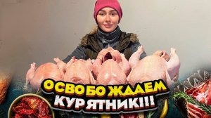 Забой Бройлеров и Кроликов. Выгодна ли продажа мяса? | Молодая Ферма
