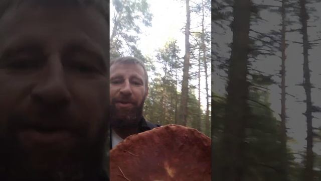 "белая" "дорогая" шляпа смотреть онлайн