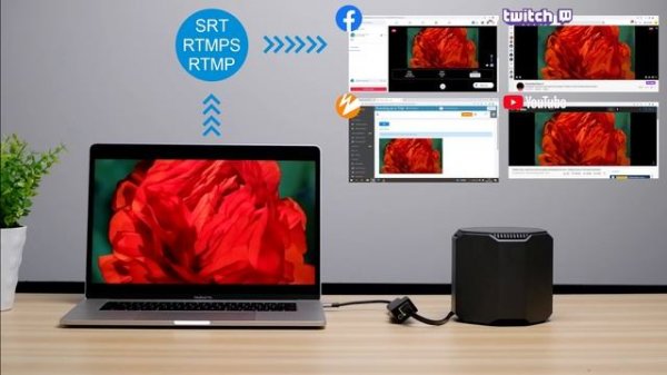 HEV-2K HDMI Encoder for live streaming HDMI-кодер HEV-2K для потоковой передачи в реальном времени