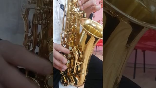 Amati Aas 33 alto sax смотреть онлайн