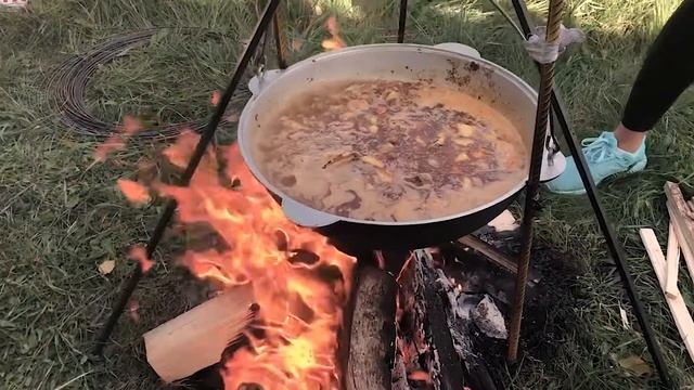 Тренинг с А. Скавронским 2019 на ЦДС К-9 Барнаул смотреть онлайн