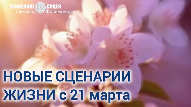 Новые сценарии жизни (ЦИ СИЦЕЯ 11пл) смотреть онлайн