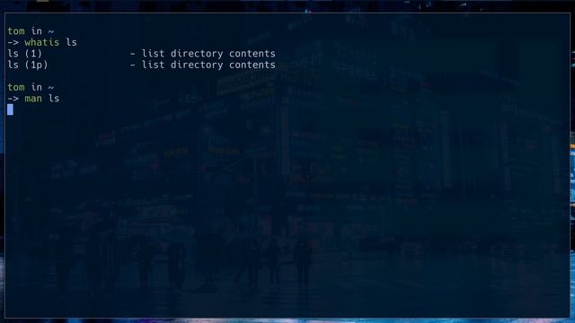 The What and Where of Linux (Unix) commands смотреть онлайн