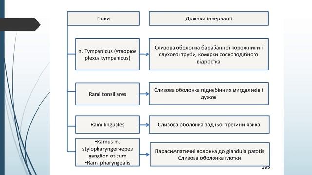 Черепні нерви VII-XII пари смотреть онлайн