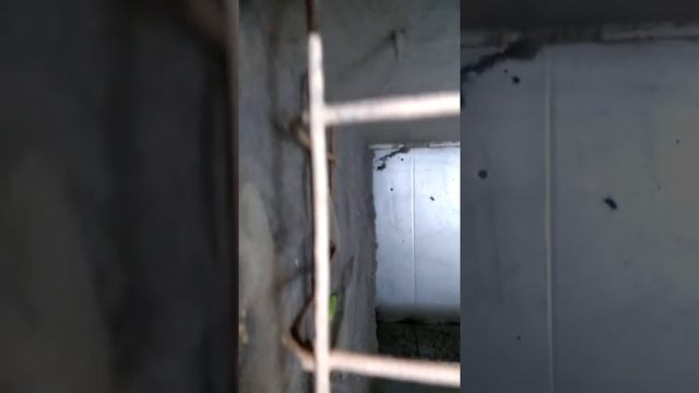 тепловая завеса