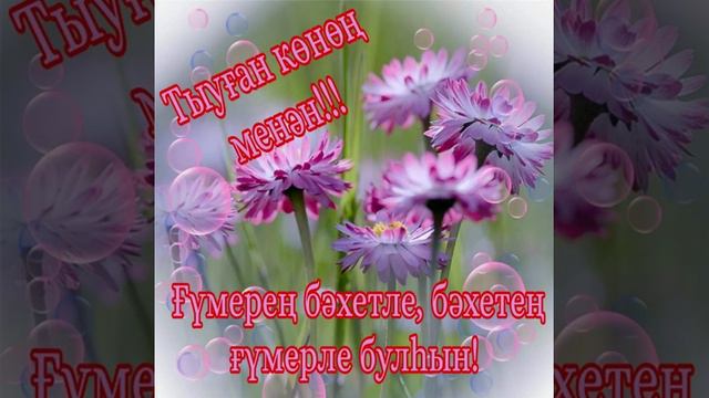 тыуған көнөң менән смотреть онлайн
