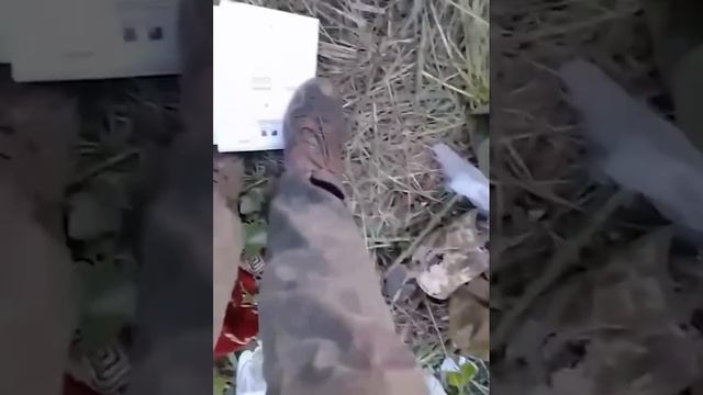 [ Альбом ]
Российские войска захватили французскую боевую машину AMX-10RC. Не смотря на то, что маши смотреть онлайн