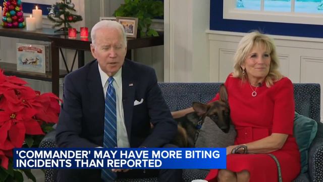 Bidens' dog Commander gone from White House смотреть онлайн