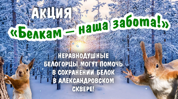 Акция "Белкам - наша забота".mp4 смотреть онлайн