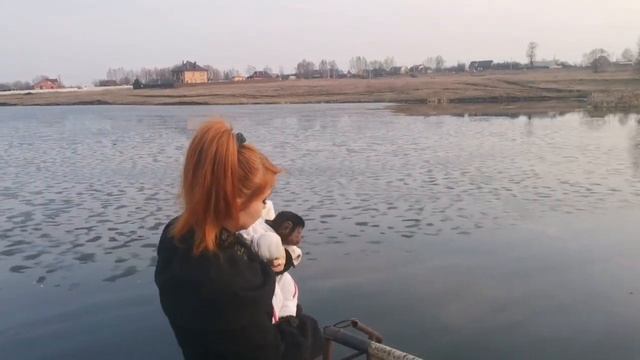 Удивительная прогулка обезьяны на озере . смотреть онлайн