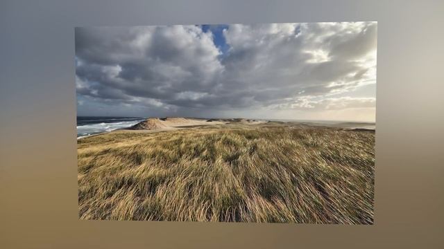 70-лет назад учёные высадились на необитаемый остров... От увиденного у них были Мурашки по Коже... смотреть онлайн