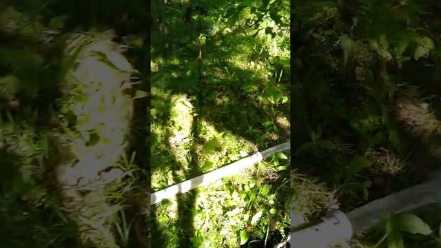 Тест дренажного насоса Калибр НПЦ-1300 смотреть онлайн